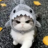 yuki