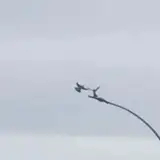 Ynot