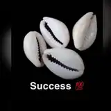 Wisdom