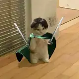 nay