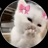 loi