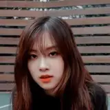 Just a random kpop fan and weeb