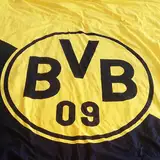 SCBVB