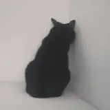 Sayoo !!