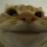 akaa