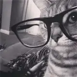 stephanierol