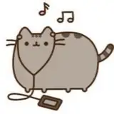 Jolly__