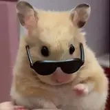 jollysettttt