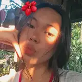 vinea