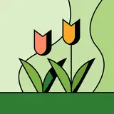 mariquita
