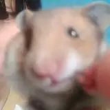 NAamYo0n