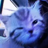 Hasu