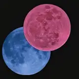 lemoon