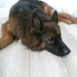 Kyros