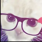 kittyally
