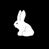 Bunnyliz