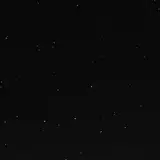 Fin