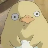 kumo