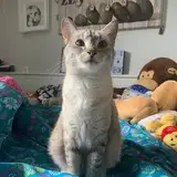 Léo