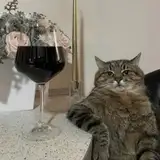 Chiviusa