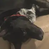 luna and titan