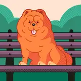 poyytajoit2