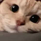 yen