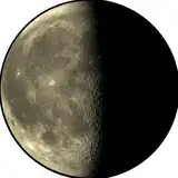 𝐛 ✿