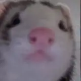 why