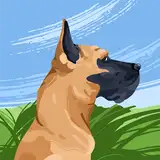Kisha