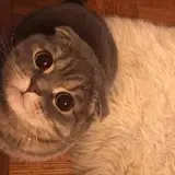 soodaa