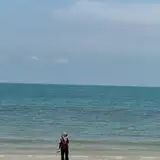 bibsy