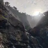 Arpita