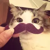grabielaa