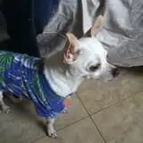 Veeeeee
