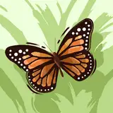jalasia