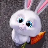 secret?