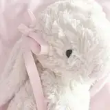 bunny lily21