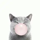 emm