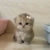 sabrina