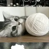 Yuki