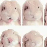 ren
