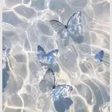 Butterfly queen