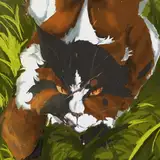 Nichamon