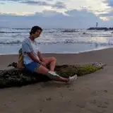 Lele