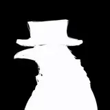Raven