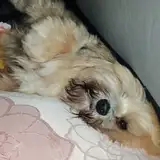 RaaaaNeeee