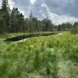 Kam