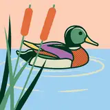 Mr_Duck