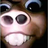 SUCI
